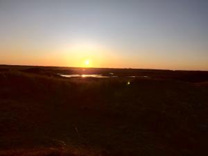 Menno 02 - Zonsondergang in de duinen